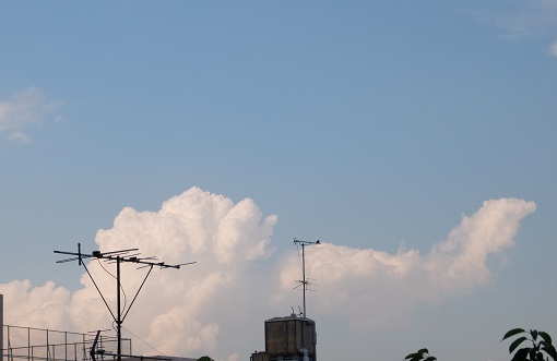 f0055956_6561736.jpg