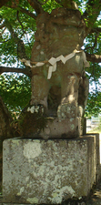 a0057057_22285646.png