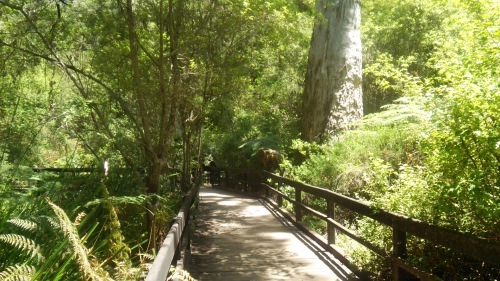 c0351060_23143635.jpg
