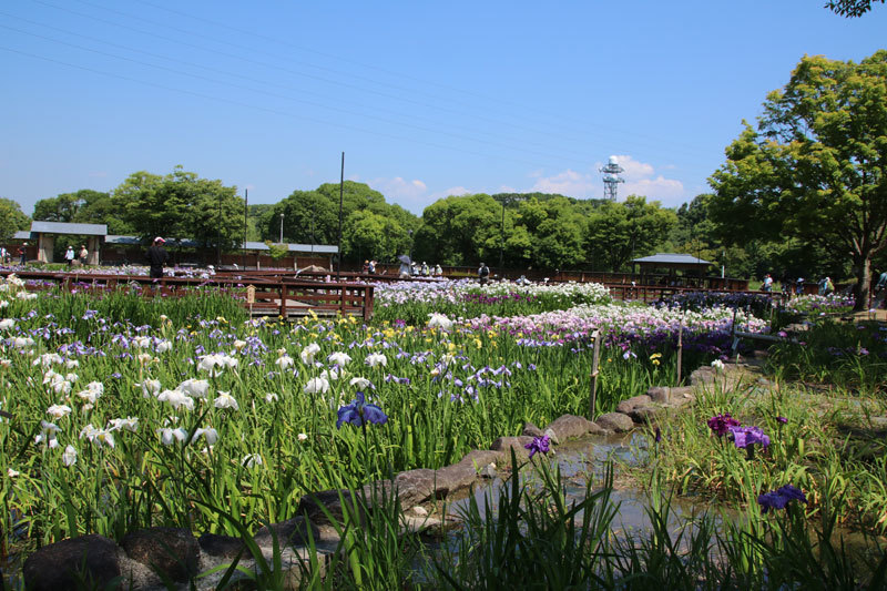 e0128863_16104192.jpg
