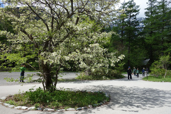 b0075364_7381123.jpg