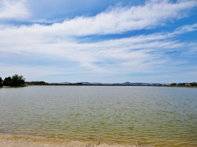 c0099564_15252652.jpg