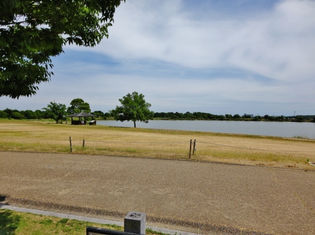 c0099564_15374005.jpg