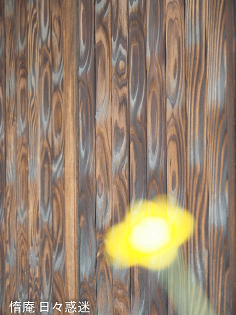 e0346064_16274670.gif