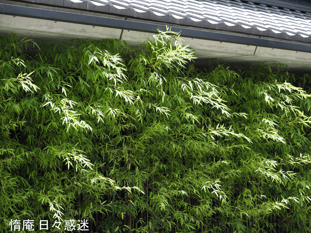 e0346064_16274751.gif