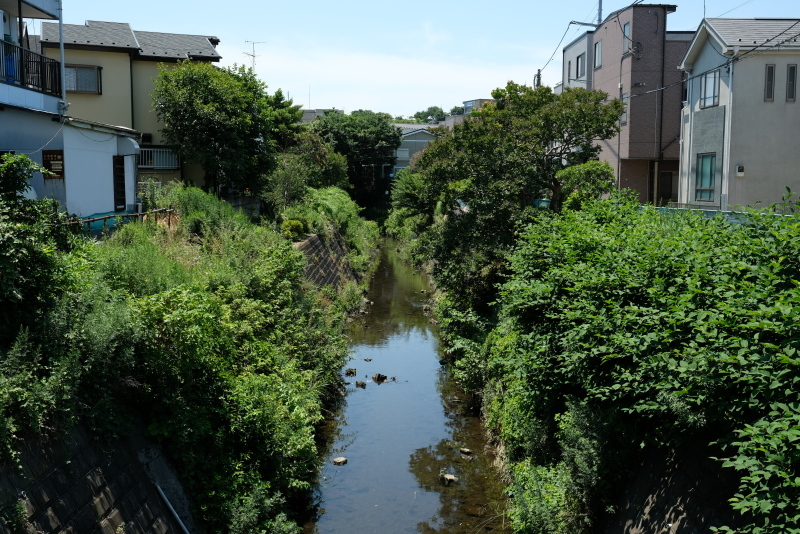 f0378464_18025734.jpg