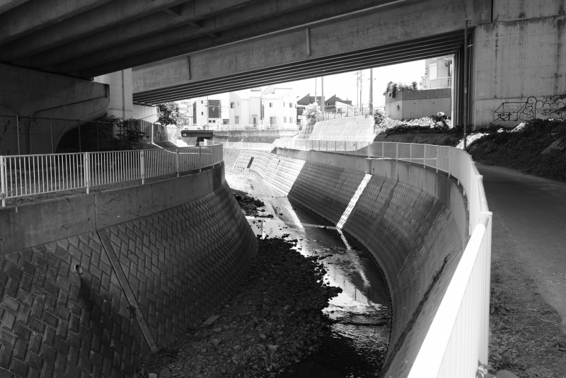 f0378464_18035580.jpg