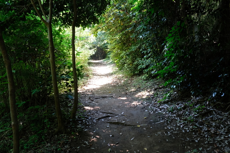 f0378464_18041935.jpg