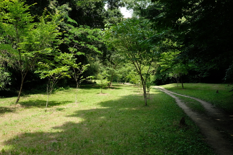 f0378464_18050479.jpg