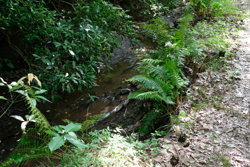 f0378464_18053308.jpg
