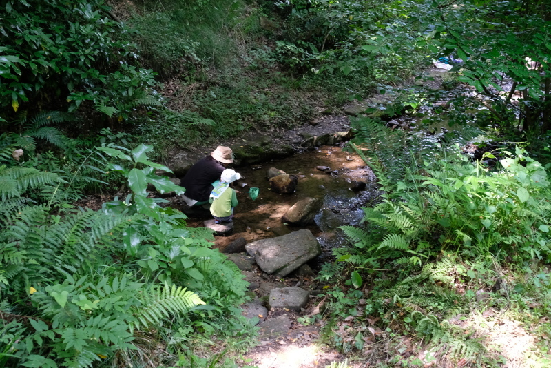 f0378464_18070473.jpg