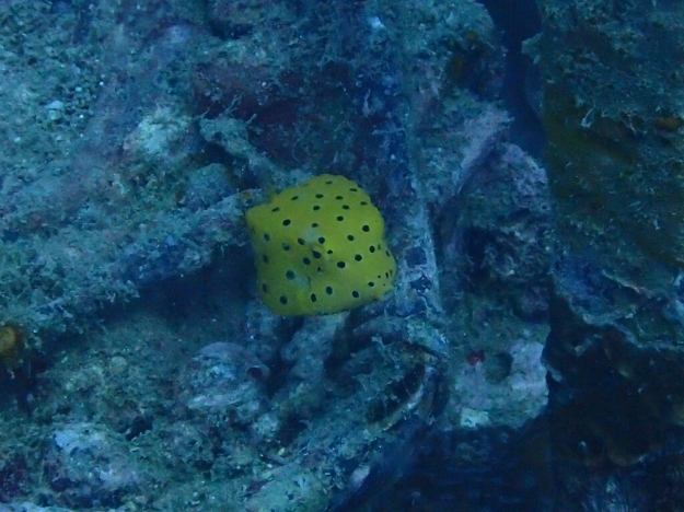 c0039073_19224574.jpg