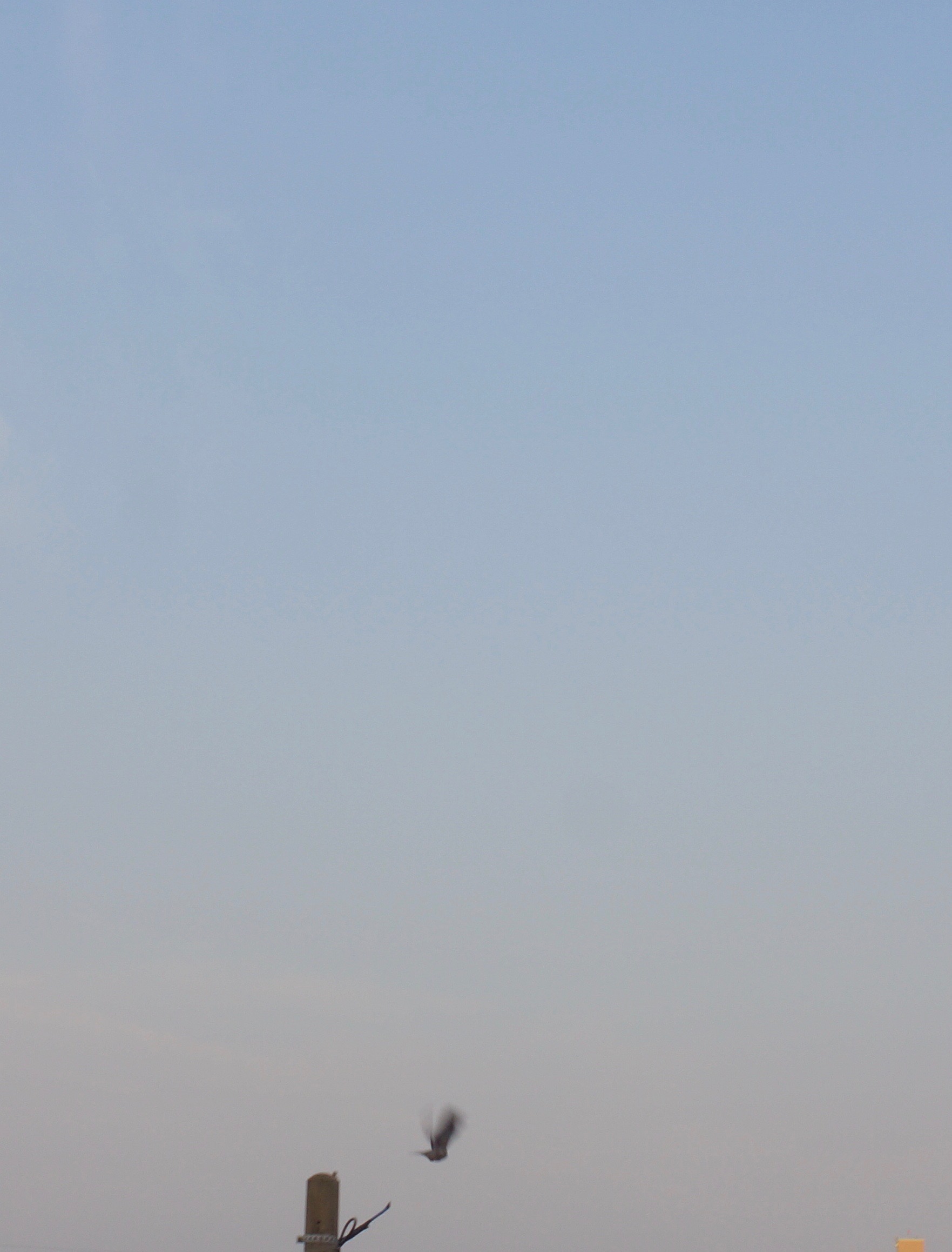 c0169176_8145958.jpg