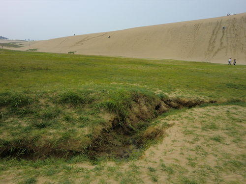 e0027681_1441411.jpg