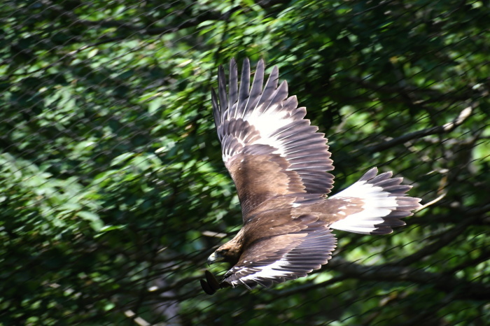 a0127090_10171865.jpg