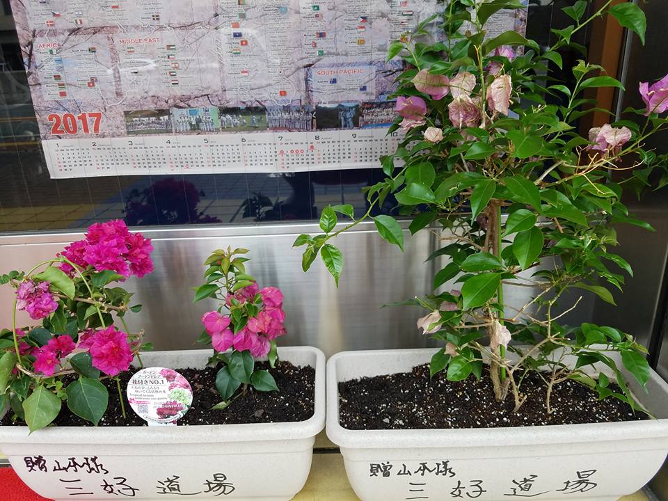 c0186691_17564169.jpg