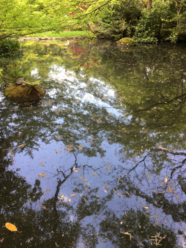 f0364292_07472853.jpg