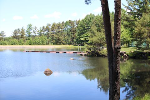 c0090198_2013356.jpg