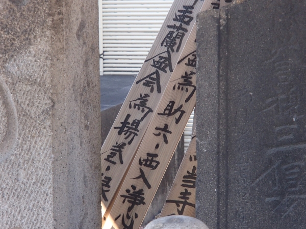f0033598_20283631.jpg
