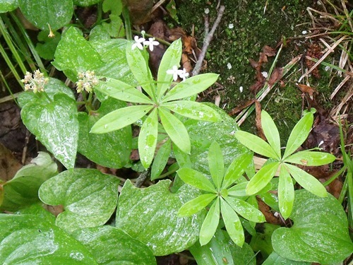 c0017802_14222040.jpg