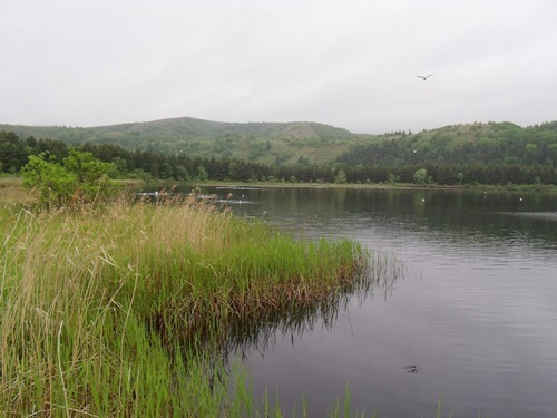 c0017802_14250038.jpg