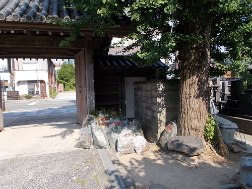 c0192503_21141733.jpg