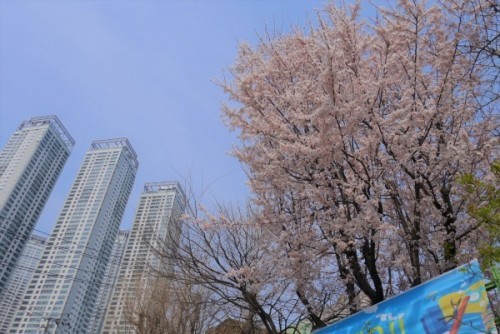 a0140305_01143426.jpg