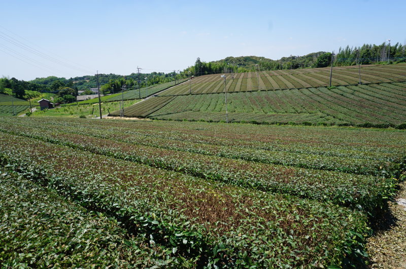 d0363206_21185135.jpg