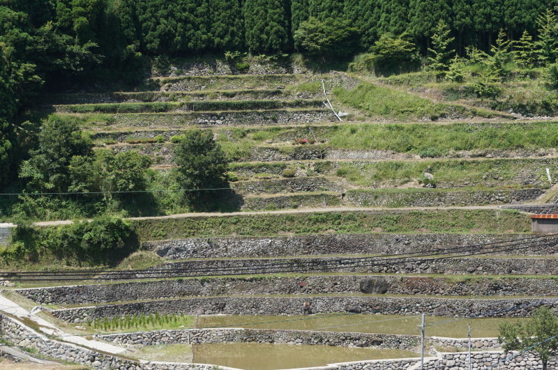 d0363206_21451975.jpg
