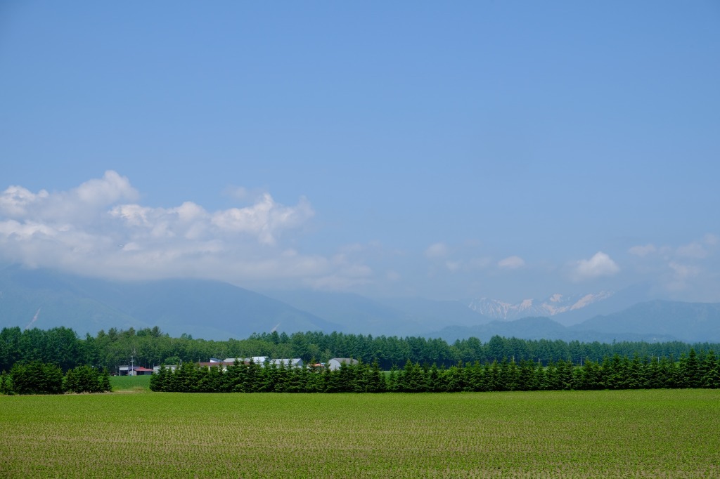 d0051707_16595443.jpg