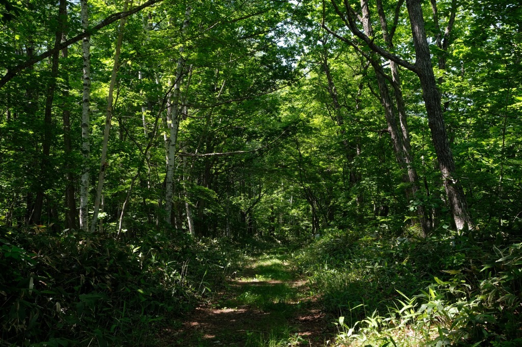 d0051707_16595451.jpg