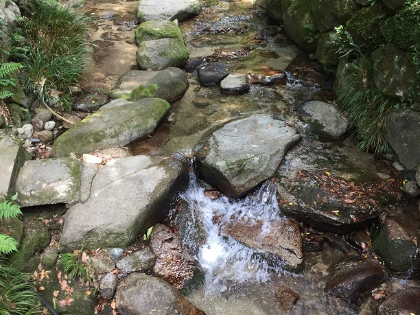f0364707_08193315.jpg