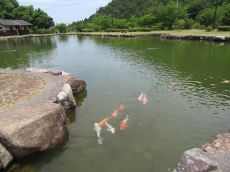 f0231709_15192993.jpg
