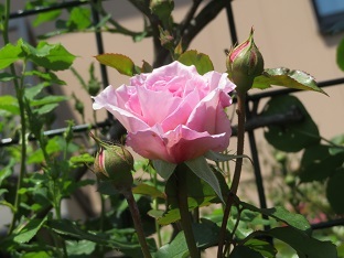 f0325309_14500834.jpg