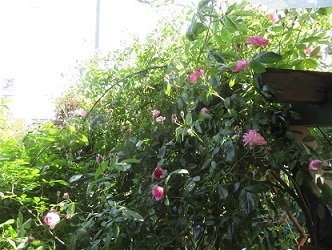 f0325309_15503315.jpg