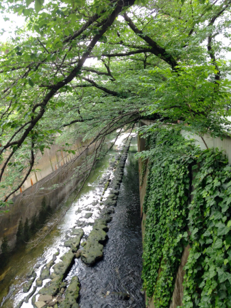 a0286010_22424481.jpg