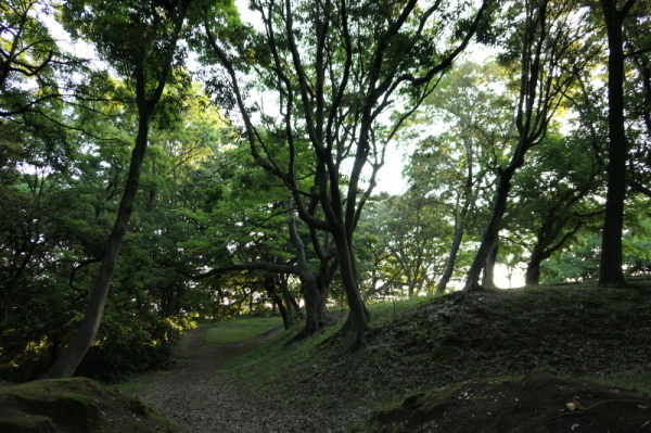 f0369014_16441849.jpg