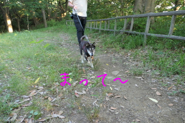 f0369014_16482218.jpg