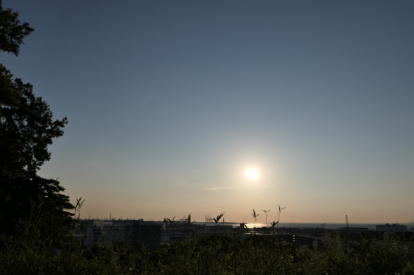 f0369014_16553332.jpg