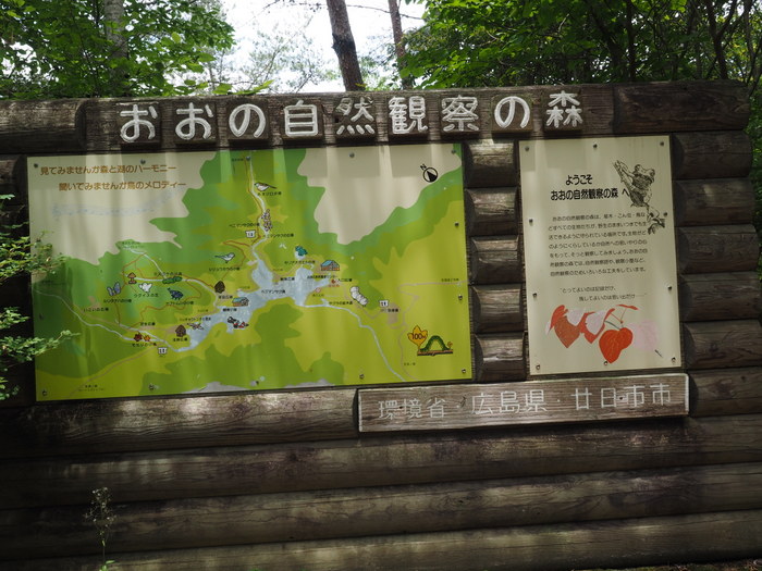 c0116915_0231757.jpg