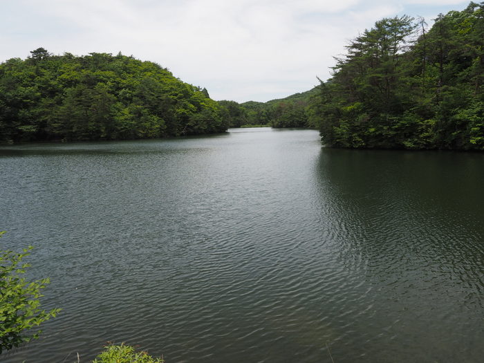 c0116915_0252099.jpg