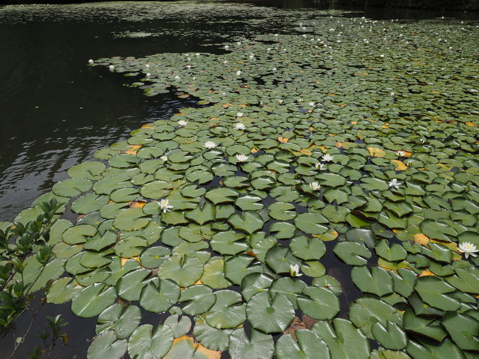 c0116915_0364663.jpg
