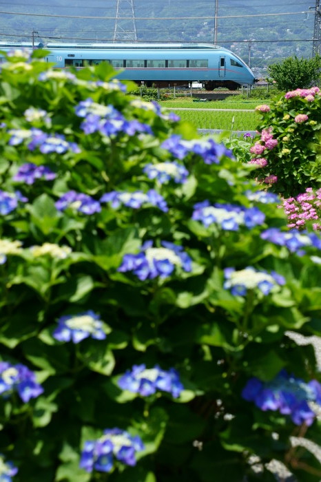 c0284923_17053508.jpg