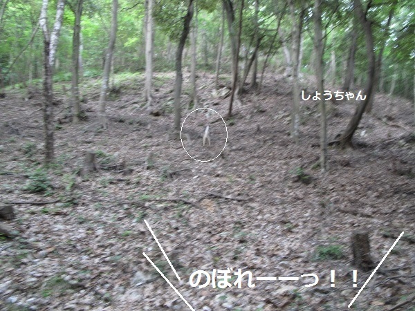 f0143123_12530403.jpg