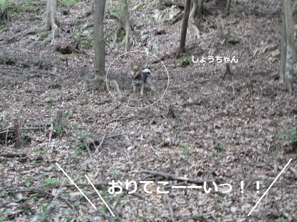 f0143123_12531045.jpg