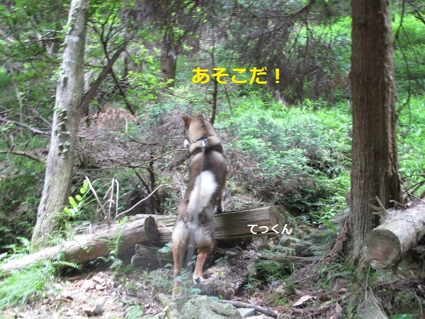 f0143123_13030366.jpg