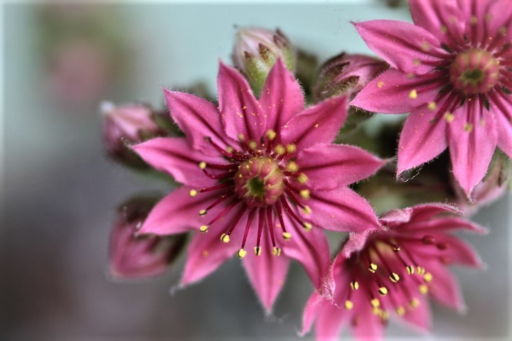 f0354923_17315253.jpg