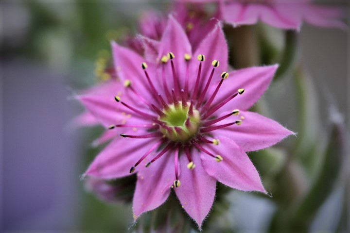 f0354923_17412333.jpg