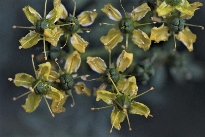 f0354923_17440728.jpg