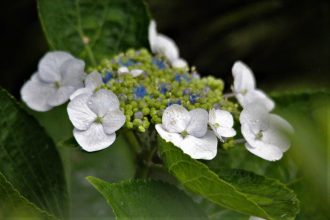 f0354923_18122884.jpg